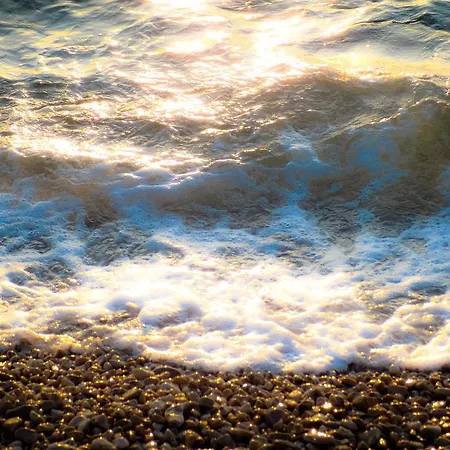 Mare *